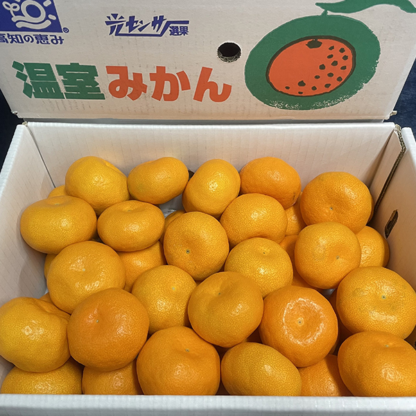 販売中の青果